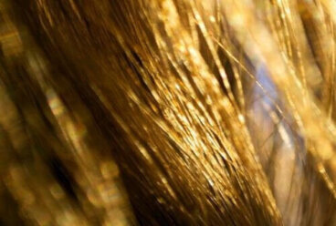 Πείτε αντίο στα ξηρά μαλλιά με φυσικές θεραπείες