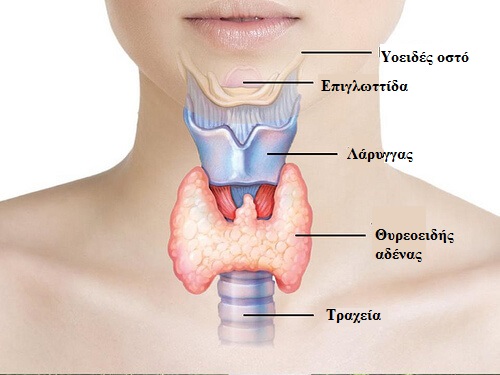 Φυσική αντιμετώπιση των προβλημάτων του θυρεοειδούς