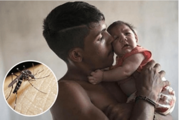 Προσοχή! 10 πράγματα που πρέπει να γνωρίζετε για τον ιό Ζίκα