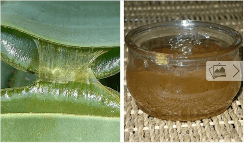 Φτιάξτε υγιεινό ζελέ αλόης βέρα στο σπίτι σας