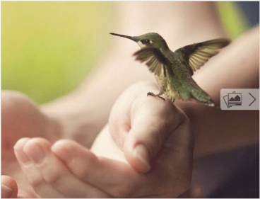 Η αποκόλληση είναι μια μορφή προσωπικής ακεραιότητας