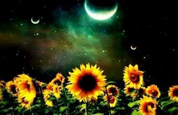 Το πολυτιμότερο στη ζωή είναι οι συναισθηματικοί δεσμοί