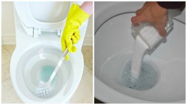 Πώς να καθαρίσετε το πουρί από τη λεκάνη της τουαλέτας