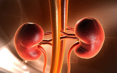 4 γευστικές συνταγές για αποτοξίνωση των νεφρών