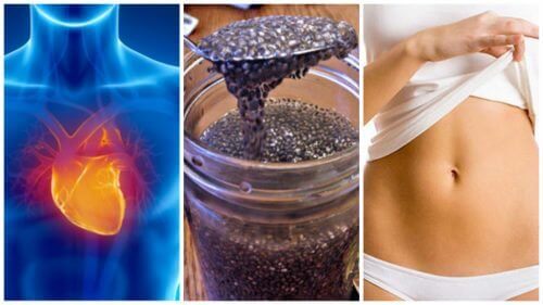 8 λόγοι να βάλετε τους σπόρους chia στη διατροφή σας