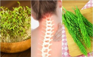 7 φαρμακευτικά φυτά που βελτιώνουν την υγεία των οστών σας