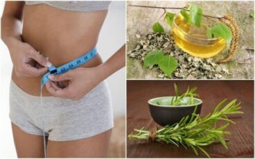8 υγιεινά βότανα που θα βοηθήσουν τη δίαιτα σας για απώλειας βάρους