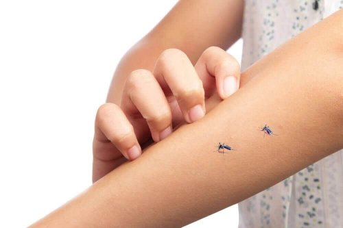 Απωθητικό κουνουπιών με βιταμίνη Β1: τι να κάνετε
