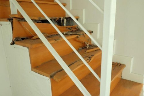 Απαλλαγείτε από τους τερμίτες στο σπίτι σας: μάθετε πώς