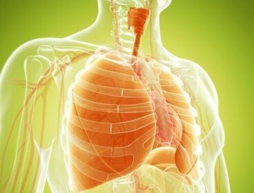 Αποτοξίνωση των πνευμόνων σας με φυσικές θεραπείες
