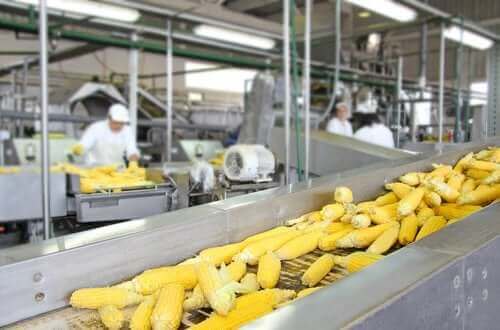 Επεξεργασία των τροφίμων: Πώς επηρεάζει τη θρεπτική αξία των τροφών;