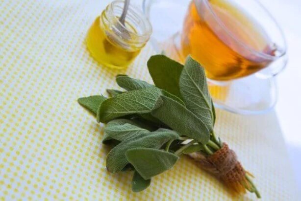 Φασκόμηλο και μέλι για τις γρατσουνιές και τα κοψίματα