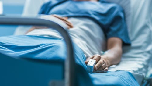 Φυτική κατάσταση: Όσα πρέπει να γνωρίζετε