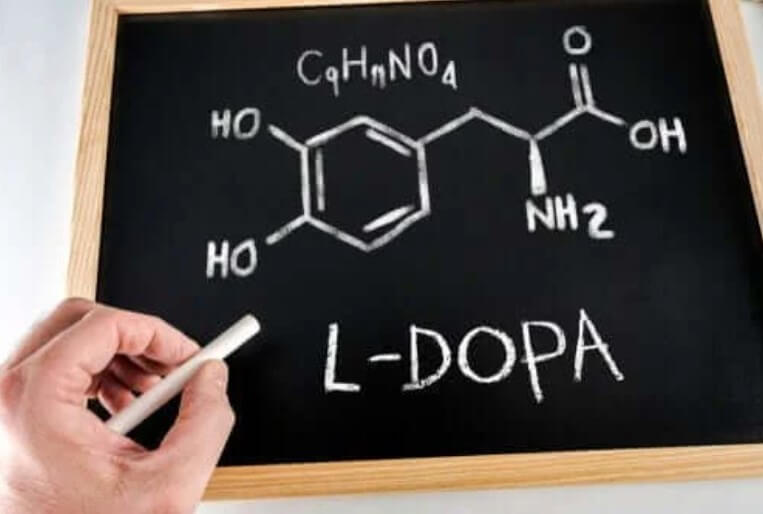 Λεβοντόπα: Τι είναι, χαρακτηριστικά και πού χρησιμεύει;