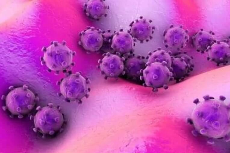 Μικρόβια: Τι είναι και πού βρίσκονται συνήθως;