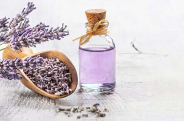 Τα 6 καλύτερα φαρμακευτικά φυτά με επιστημονικές αποδείξεις