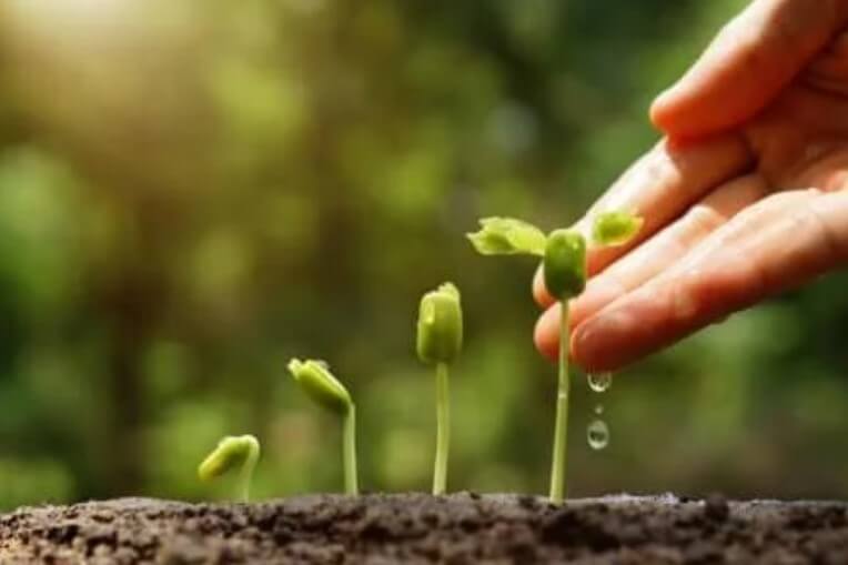 Ανακαλύψτε 6 φανταστικές συμβουλές για έναν βιώσιμο κήπο