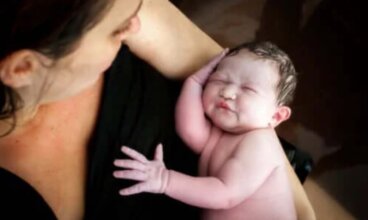 Γέννα του λωτού: Χαρακτηριστικά, κίνδυνοι και οφέλη