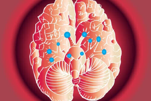Τα 12 κρανιακά νεύρα: Ποιες είναι οι λειτουργίες τους