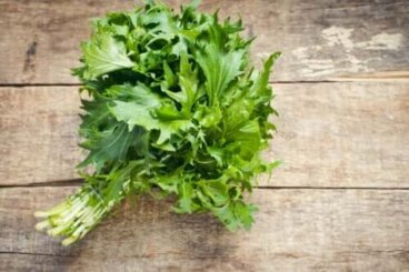 Τα οφέλη της Mizuna: Θρεπτική αξία και προετοιμασία