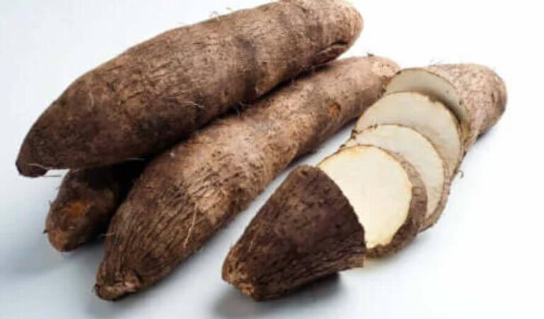 Άγριο γιαμ ή διοσκουρία: Τι είναι και ποιες οι ιδιότητές του