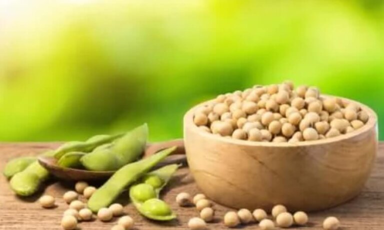 Φασόλια Mung (Ροβίτσα): Ιδιότητες, χρήσεις και οφέλη