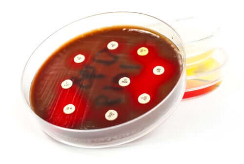 Αντιβιόγραμμα: Ποιες είναι οι εφαρμογές του και τι είναι;