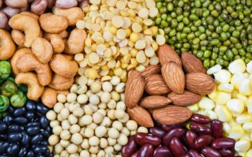 Τι είναι τα αντι-θρεπτικά συστατικά των τροφών;