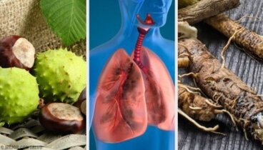 4 Σπιτικές θεραπείες για την ενίσχυση των πνευμόνων σας