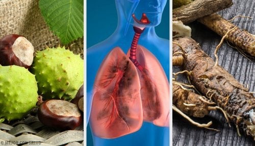 4 Σπιτικές θεραπείες για την ενίσχυση των πνευμόνων σας