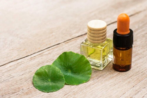 Γιατί η Centella Asiatica είναι καλή για το δέρμα;