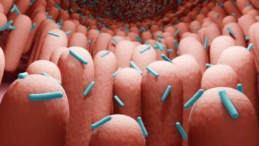 Μεταβιοτικά: Τι είναι και ποια τα οφέλη τους