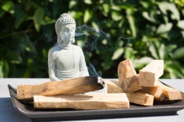 Palo Santo: Τα οφέλη και οι χρήσεις του "ιερού ξύλου"