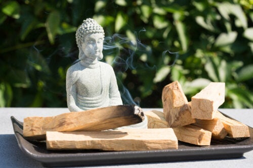 Palo Santo: Τα οφέλη και οι χρήσεις του "ιερού ξύλου"