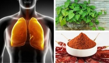 Πώς να κάνετε έναν καθαρισμό των πνευμόνων και των βρόγχων σας