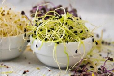 Πώς να καλλιεργήσετε φύτρα στο σπίτι