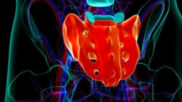 Τι είναι τα ιερά νεύρα και ποιες είναι οι λειτουργίες τους;