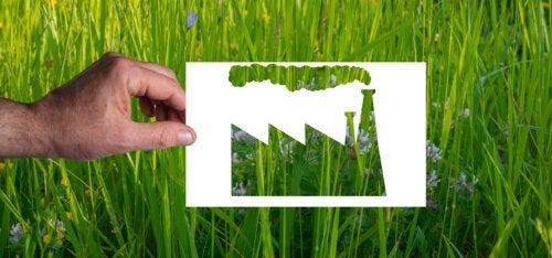 Πώς να εντοπίσετε το Greenwashing