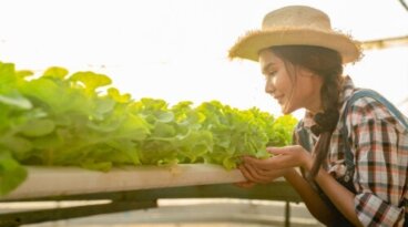 8 συμβουλές για επιτυχημένες υδροπονικές καλλιέργειες