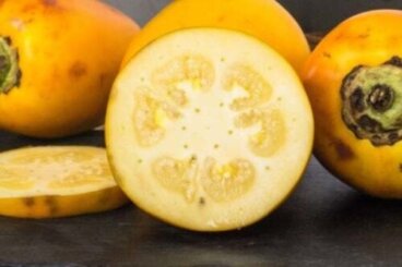 Τι είναι το cocona και ποια είναι τα οφέλη του για την υγεία;