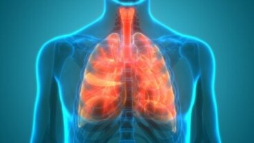 Πνευμονικό μικροβίωμα: Είναι οι πνεύμονες αποστειρωμένοι;